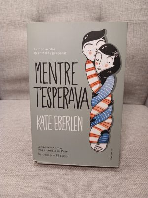 Portada de Mentre t'esperava